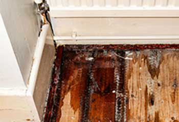 Water Damage Cleanup | Pasadena