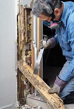 Window Replacement Near Alhambra