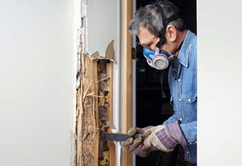 Window Replacement, Alhambra